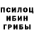Галлюциногенные грибы мухоморы Mustafa Topac