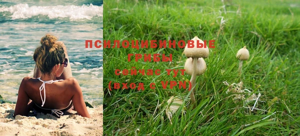 бошки Осинники