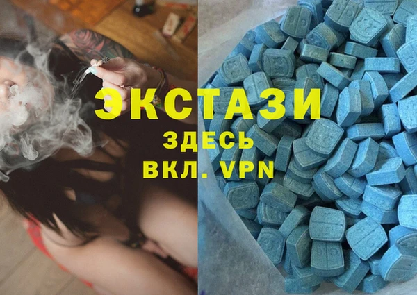 индика Осташков