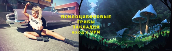 бошки Осинники