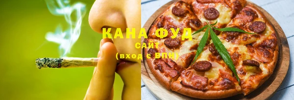 индика Осташков