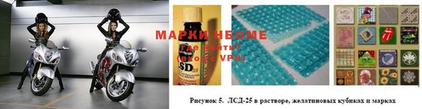 индика Осташков