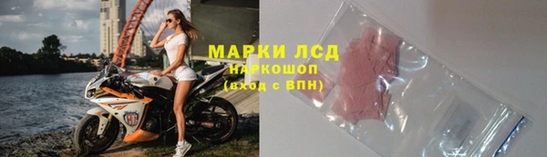 соль ск Сураж