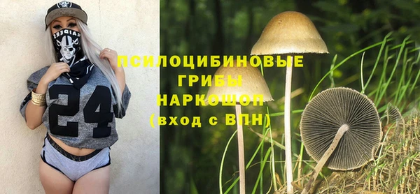 бошки Осинники