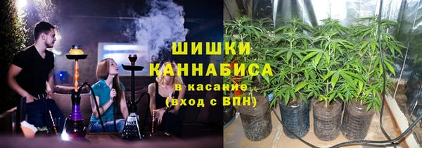 бошки Осинники