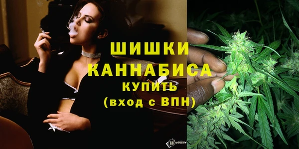 индика Осташков