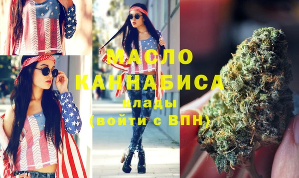 индика Осташков