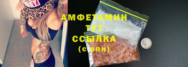 индика Осташков