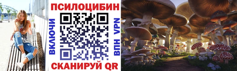 Галлюциногенные грибы Psilocybe Арск
